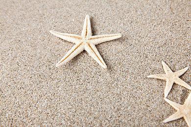 TGA官方：如果让你加一个年度游戏 你选谁？